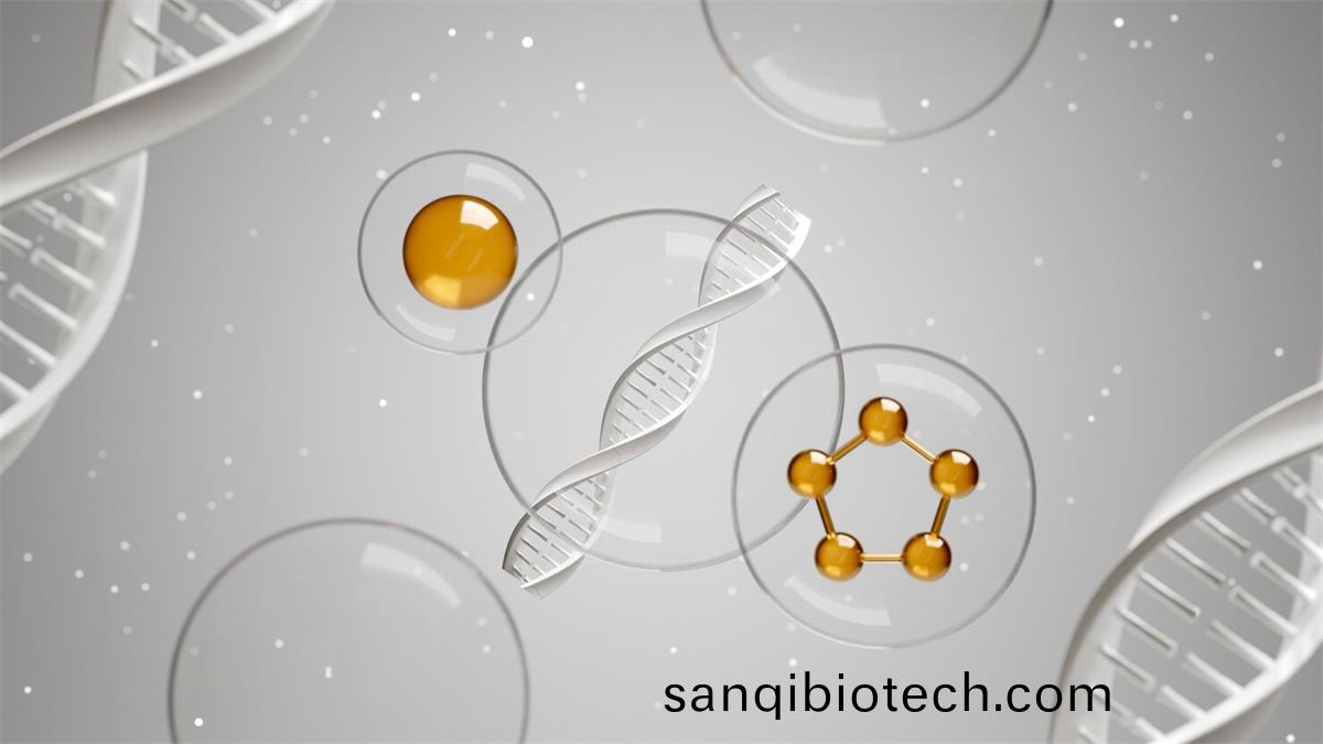 精胺昰(shi)哪(na)箇(ge)氨基痠(suan)轉化(hua)而(er)來的(de)