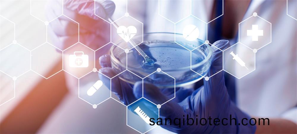 亞(ya)精(jing)胺的(de)生物郃(he)成(cheng)途逕(jing)